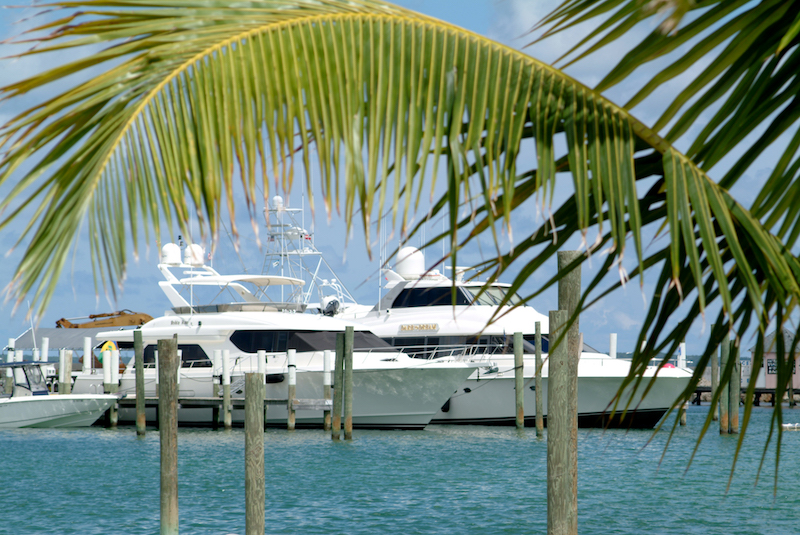 Fishing tournaments at Abaco Beach Resort